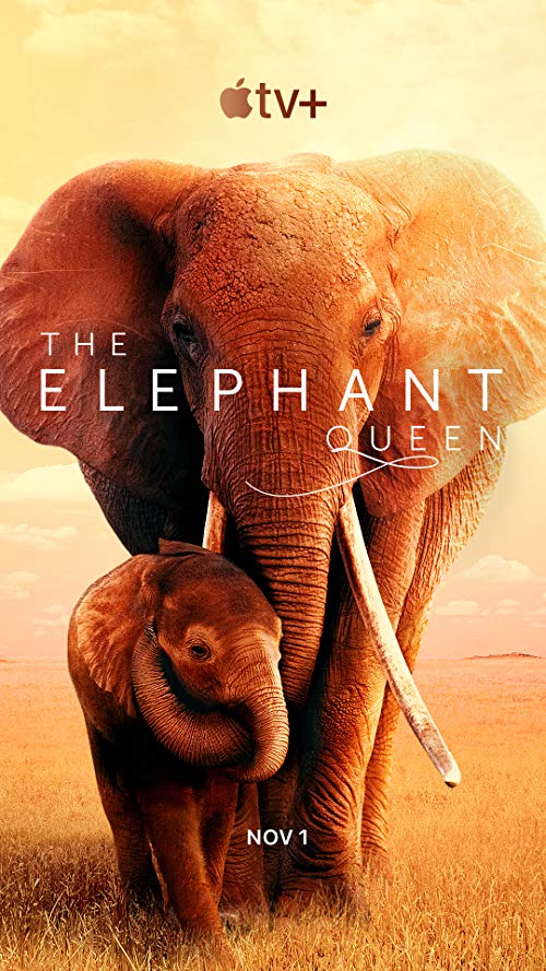 [MOVIE] The Elephant Queen (2019) (WEBRIP)